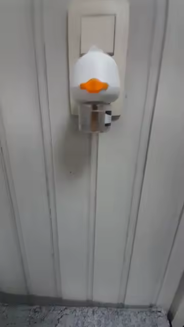 Photo client Pawzena